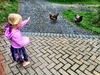 We've been tasked with feeding the neighbours two chickens and three cats over the weekend much to Olives excitement. Two fresh eggs every morning!