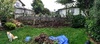 What have we just done!? Start of the almighty back retaining wall / fence project. Temp fence and ripped out the old hedge/fence.