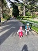 Yet another botanical trip (I don't mind as the flowers are all out) to meet great aunty delwynne for a coffee and a stroll. Highlight was the monkey tails in the frog fountain, and low point watching a terrified toddler after a duck stole her lunch.