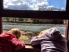 Daddy day! Everyone in the bed! An egg benie muffin in bed followed by a steam train ride and lunch. Train ride was a hit apart from it leaving the mums behind on the first trip!