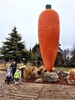 A dream came true for Olive as we saw the big carrot once again in Ohakune.