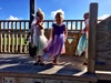 Iris continues to enjoy balancing and has been happier playing without me at kpc. Olive I don't even see, today she was off with Freya and Sarah, out for the night while babysitters looked after their babies all night, who knows where they get these crazy notions!