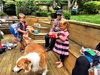 We hosted a Christmas morning brunch for the Turner Clan. The weather played ball and the kids were super excited to open presents from each other.