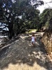 We managed a walk around the mount with the kids. Iris surprised us with hopping out of the buggy half way and literally running the second half of the walk.