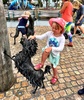 We wandered over the old railway bridge to Tauranga to visit the lovely Hairy Maclary statues and playground.