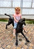 We wandered over the old railway bridge to Tauranga to visit the lovely Hairy Maclary statues and playground.