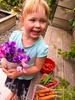 We often forget to check our inca garden, and we finally got around to taking a photo of olive and her kindy sunflower. Tomatoes are amazing! Lots of beans and the carrots are ready.