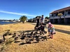 Duck feeding and a walk along the lake front on another perfect day.