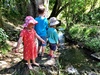 Eel spotting, bush walking and river traversing next to our campsite.
