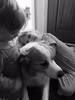 Lyon managed to hurt his foot while hanging in the garden, so he had a quick visit to the vet for painkillers. Both the girls were worried about him so he got more attention than he wanted.