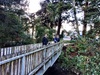We got to ohakune late afternoon and explored the new walkway through the forest and river into town, would be great for scooters. Mountain is looking delish.