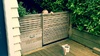 Iris Gate Escape. Luckily we have two gates between the deck and a full escape.