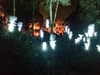 Got freebie tickets from my parents to see the bird themed light show in Otari bush, lots of interesting exhibits especially the man who can mimic all sorts of birds, loved the whirling dervish feathers too, but the best thing is being able to walk through the bush at night with amazing lights.