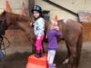 We went horse riding for tamariki Nui today. Olive wasn't too sure of the horses but was happy to pat and groom them. Maybe next time a ride?...