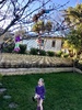 A fun game of throw dollies in the tree. Kept Olive amused for ages.