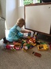 The block towers for animals continues...