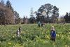 We enjoyed a beautiful day out in Carterton picking daffodils and enjoying what the food stalls had to offer. It was a hot day! Iris however didnâ€™t nap...
