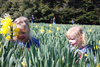 We enjoyed a beautiful day out in Carterton picking daffodils and enjoying what the food stalls had to offer. It was a hot day! Iris however didnâ€™t nap...