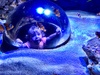 We visited Sea Life and the girls absolutely loved it. Aquariums and a seal show.