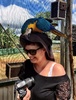 We took a wander around Maleny Bird Park and botanical gardens.