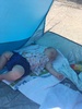 The weather has been just amazing. So off to oriental beach we went today. Caught up with a few friends a long the way. Juni even had a snooze in the tent and I got to take a swim with the kids, as no one else bought their togs! After 3 hours we were toast.