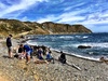 We braved the wind and found a sheltered spot on Makara Beach to cook sausages and toast marsh mellows! Had a great time.