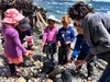 We braved the wind and found a sheltered spot on Makara Beach to cook sausages and toast marsh mellows! Had a great time.