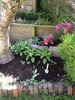 My cheap $20 'old lady rose arch' wasn't built to last and blowing with the wind and I was at a lost what to do but randomly our Neighbour was getting rid of their super heavy duty one so all solved! I have finally managed to make my top tier garden with hostas around the cherry tree. Job satisfaction, tick.