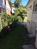 My cheap $20 'old lady rose arch' wasn't built to last and blowing with the wind and I was at a lost what to do but randomly our Neighbour was getting rid of their super heavy duty one so all solved! I have finally managed to make my top tier garden with hostas around the cherry tree. Job satisfaction, tick.