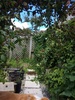 Jungle after two week holiday! Lots of weeding!