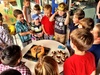 Ice rocks, fish and chips, princess storm troopers, bananas and a glistening cake! All at Anthony's birthday party.