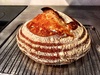 With a new hybrid starter (a mix of Nans and Nicky's), I'm finally having success with sourdough loaves! This one was amazing and demolished in half a day...