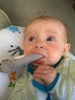 Juni smoking bunny.