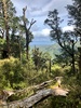 Epic 6hr run in the bush called the Aorangi Undulator.
