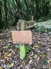 Epic 6hr run in the bush called the Aorangi Undulator.