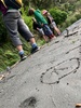 A day of rest exploring the river and forest, found a kiwi footprint!