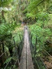 A day of rest exploring the river and forest, found a kiwi footprint!