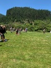 Rimutaka Forest Park park picnic, so hot!