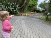 This is pretty big news in the peck household!!! We finally have completed driveway!! Itâ€™s only taken oh 7 years!