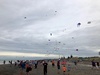 We ventured out to Otaki for their annual kite festival. Amazing array of kites. Definitely worth a visit.