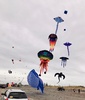 We ventured out to Otaki for their annual kite festival. Amazing array of kites. Definitely worth a visit.