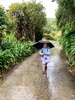 The exciting novelty of an umbrella on a morning walk to school.