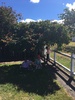 Fairies collecting berries. Lovely Taupo cuzzie play.