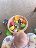 Juniâ€™s sitting is slowly coming along still needs a support but enjoying the basket of stuff! She is loving the juicy fruit! Sucking all the juices from them.