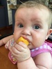 Juniâ€™s sitting is slowly coming along still needs a support but enjoying the basket of stuff! She is loving the juicy fruit! Sucking all the juices from them.