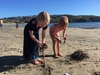 Good Friday: Titahi beach with our newly welcomed cuzzies, need a name for them as they arenâ€™t Auzzie cuzzies anymore!