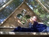 Treehouse update: windows are cut out, now for the Perspex!