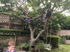 Treehouse cost per play is coming down, cuzzie fun afternoon as school was out today!