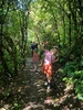 A family walk up Wrightâ€™s hill and an explore of the tunnels.