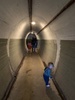 A family walk up Wrightâ€™s hill and an explore of the tunnels.